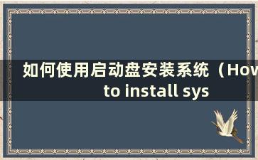 如何使用启动盘安装系统（How to install system software using a boot disk）